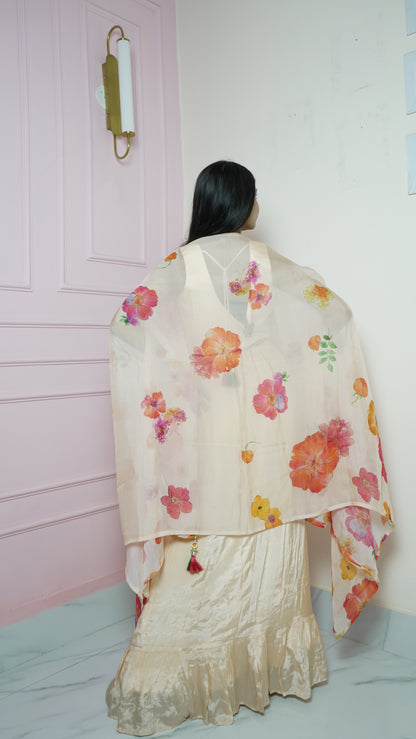Beige Crepe Georgette Indo-Western